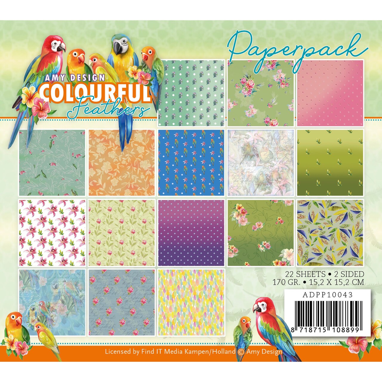 Find It Trading Amy Design Paper Pack 6"X6" 22/Pkg-Colourful Feathers, Double-Sided